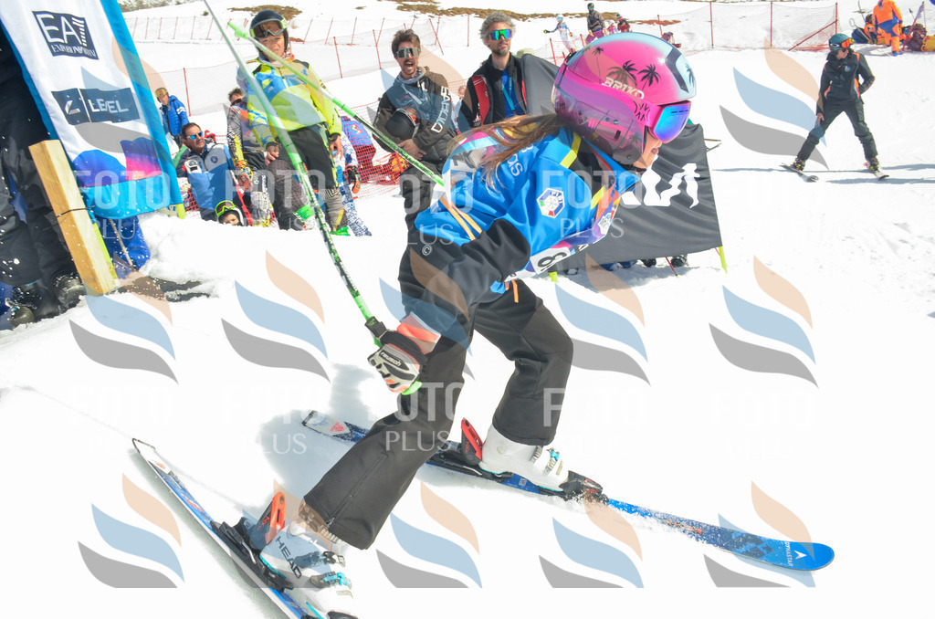 _ELE5606 | holidayphoto