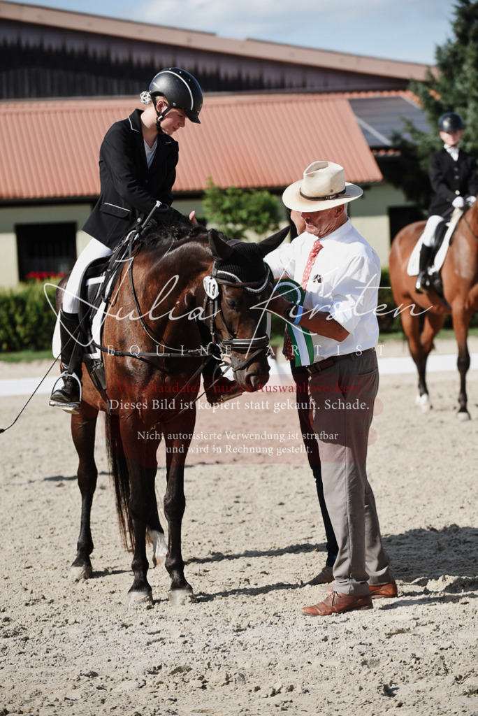 DSC_0218 | Pferde- und Turnierfotografie in Westsachsen. Pferdeportraits, Auftragszeichnungen und intuitive Kunst.