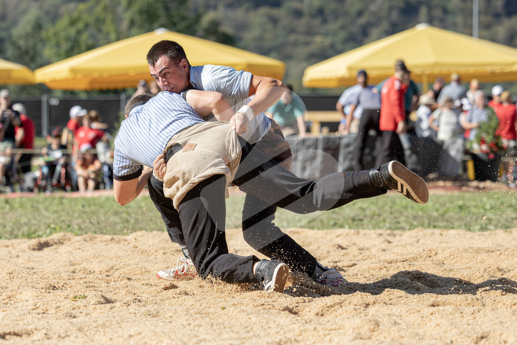 TESSINER2025_03_Gang_0032 | Die Schwinger des Schwyzer Kantonalen Schwingerverbandes: Fotos, die Dynamik und Leidenschaft festhalten, sowie emotionale Momente aus dem traditionellen Schwingsport zeigen. - Realisiert mit Pictrs.com