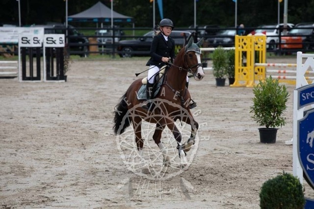 2B4A2293 | pixelfaenger - Realisiert mit Pictrs.com