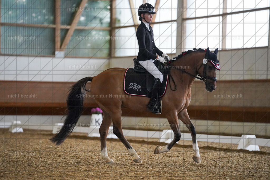 20240825-FAH09091 | Turnierbilder, Reitsportfotos, LAPO, Landesponyturnier, Turnierfotografen Bayern