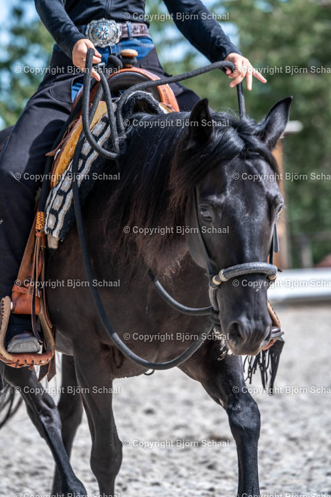 HOB00926 | BS-foto