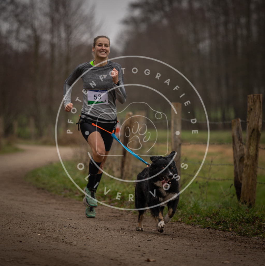 Pfotenfotografie_DV3A2937 | Hundefotografie, Tierfotograf, Pfotenfotografie, Fotoshooting Hund, Hunde Portrait, Hundesport, Hundeportraits, Heideshooting, Hunde, Sportfotograf, Hundefotograf, Turnierhundsport, THS,  - Realisiert mit Pictrs.com