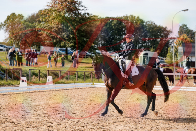 2026_10_03_Siefer-Hof_133621_Z63_96833899 | Professionelle Reitsport-, Turnier- und Eventfotografie von Robert Broda. Galerien mit ausgewählten und bearbeiteten Bildern direkt online ansehen und bestellen.