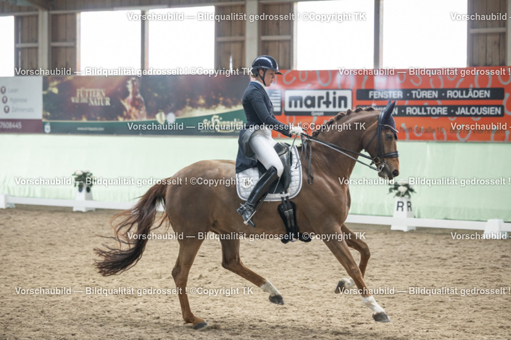 _D5A6149 | Emotionale Pferde- & People-Fotografie rund um Heidelberg, Leimen & Umgebung. Natürliche Fotos von Pferd, Mensch & Familie. Jetzt Termin sichern!