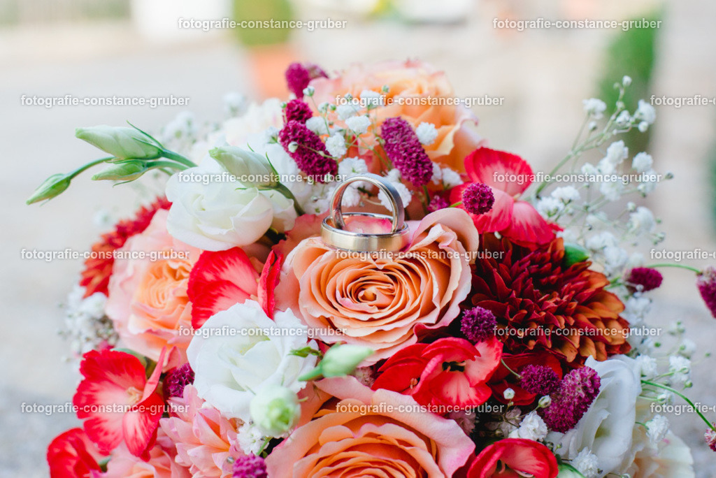 1011 | Fotografie Constance Gruber - Realisiert mit Pictrs.com