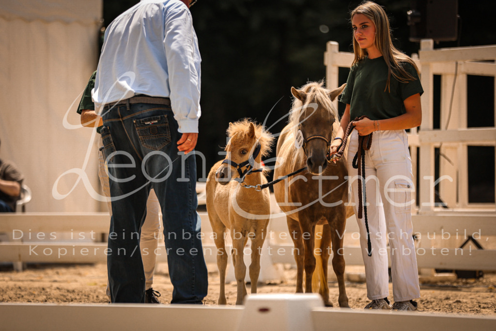 02.DoSR00201 | Leoni Ertmer Photography - Realisiert mit Pictrs.com