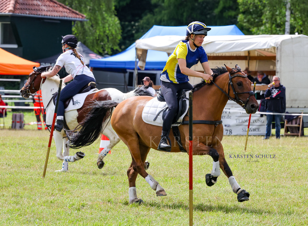 1B3A4546 | Reitsport Reiten