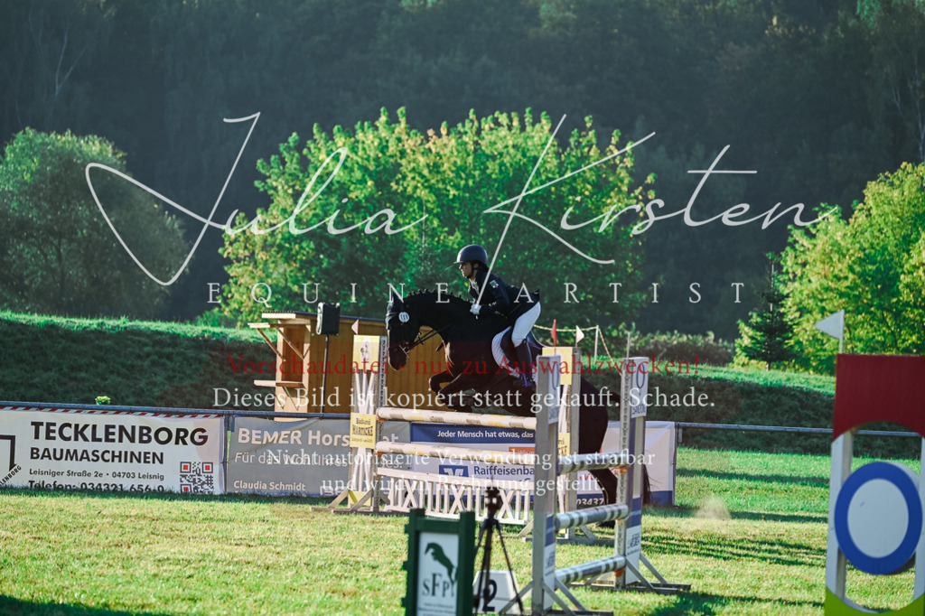 DSC_4071 | Pferde- und Turnierfotografie in Westsachsen. Pferdeportraits, Auftragszeichnungen und intuitive Kunst.