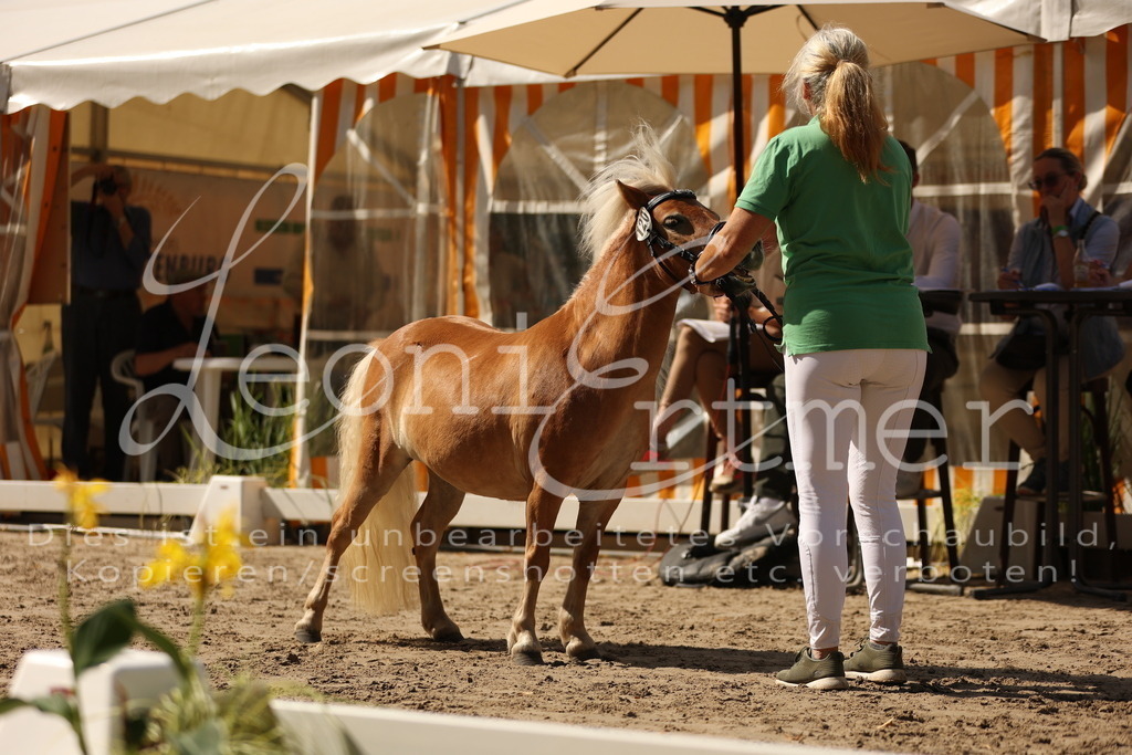 02.So00016 | Leoni Ertmer Photography - Realisiert mit Pictrs.com