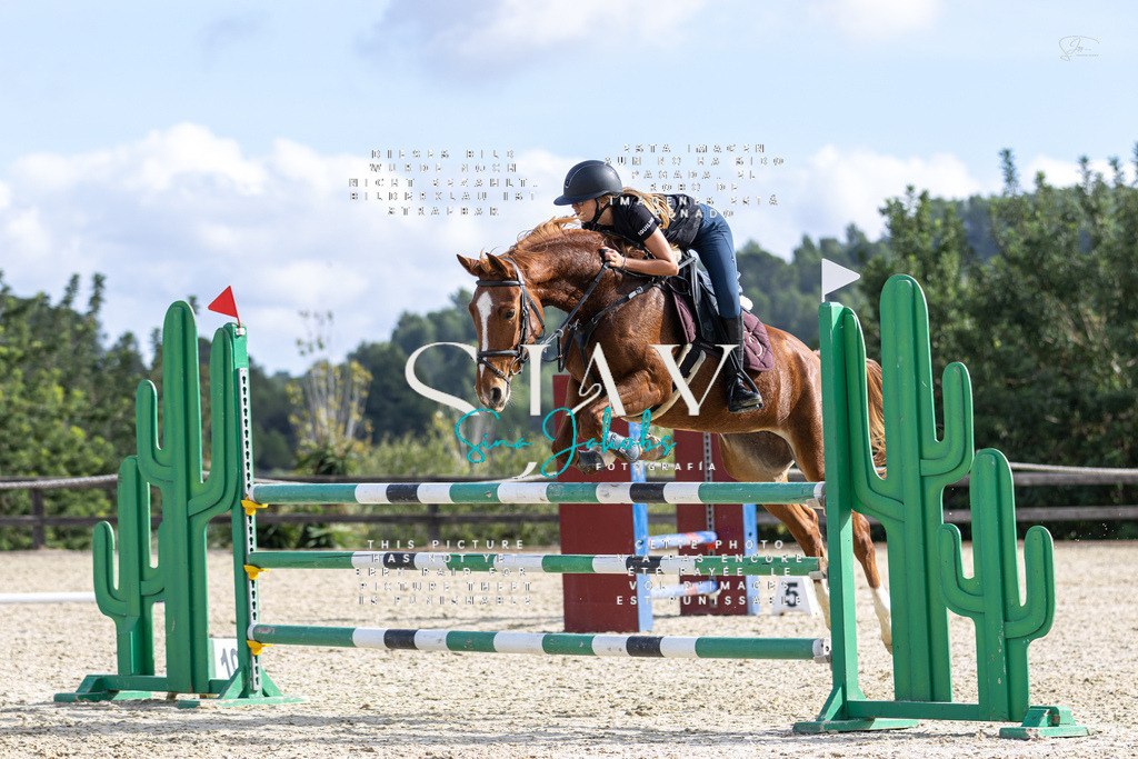 IMG_3711 | s-jay-photography - Realisiert mit Pictrs.com