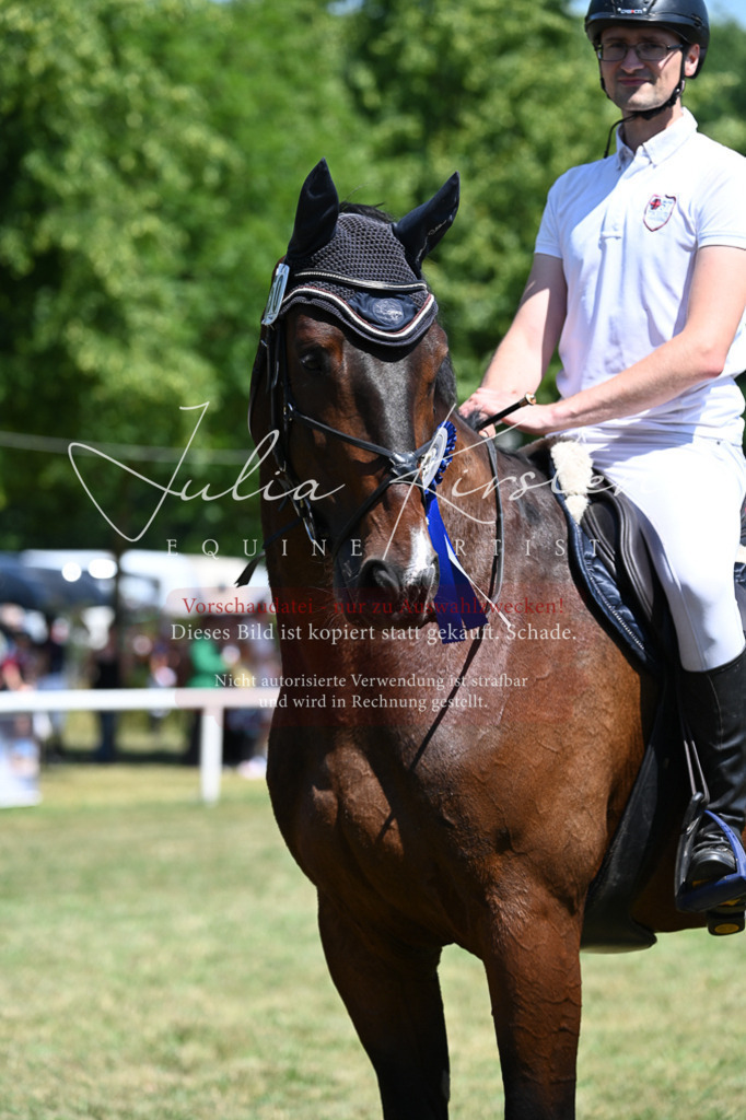 DSC_0891 | Pferde- und Turnierfotografie in Westsachsen. Pferdeportraits, Auftragszeichnungen und intuitive Kunst.