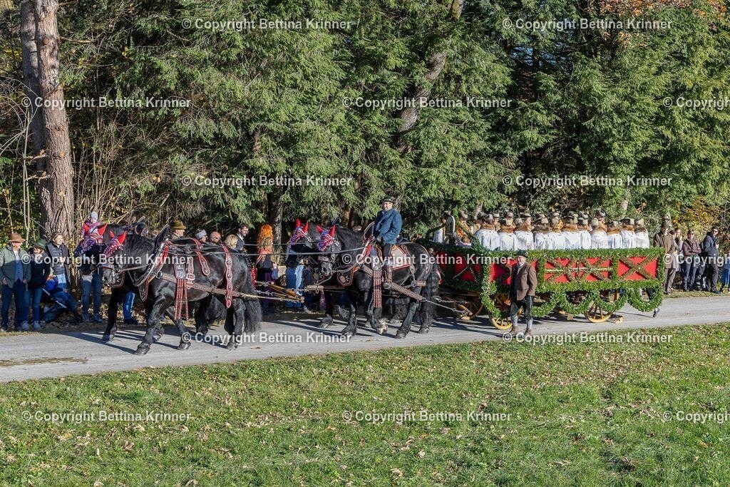 LBT25-400 | foto-bettina-krinner - Realisiert mit Pictrs.com