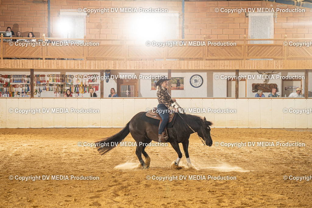 MIT00410 | dv-media-shop - Realisiert mit Pictrs.com