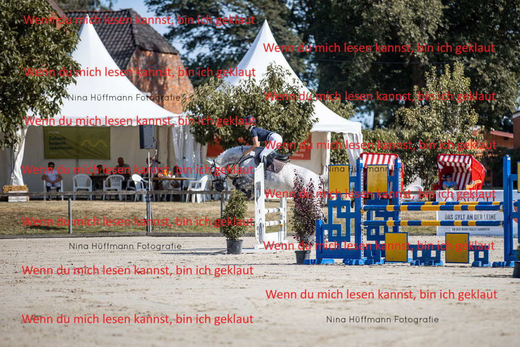 BK1A7030 | Turnierbilder Turnierfotos Nina Hüffmann Turnierfotografie Pferdefotografie Tierzeichnung Haustierzeichnung Pferdezeichnung Hundezeichnung Videograf  - Realisiert mit Pictrs.com