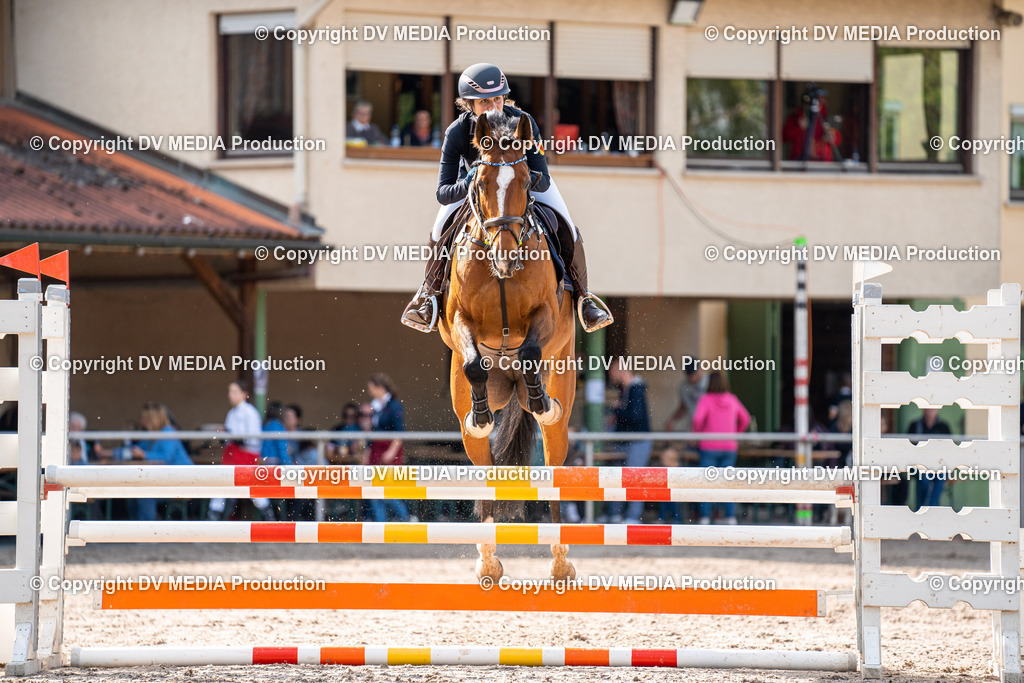 Eppelheim Tag 2-591 | dv-media-shop - Realisiert mit Pictrs.com