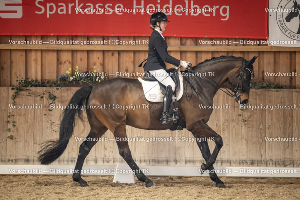 _D5A9289 | Emotionale Pferde- & People-Fotografie rund um Heidelberg, Leimen & Umgebung. Natürliche Fotos von Pferd, Mensch & Familie. Jetzt Termin sichern!