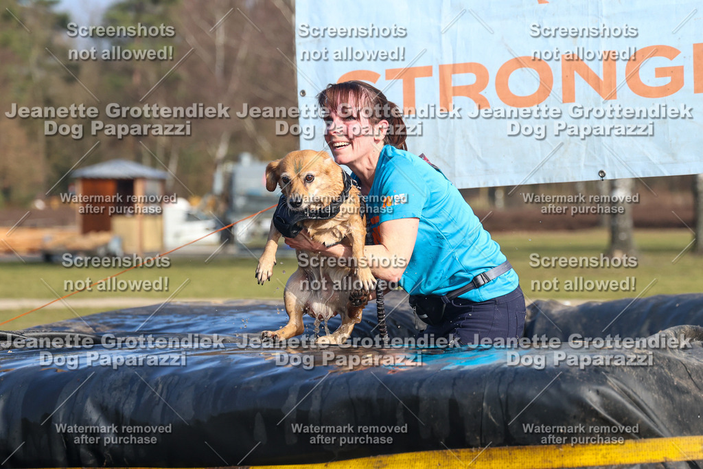 Dog Paparazzi - Strongdog North Mrz26-3242 | Dog Paparazzi Jeanette Grottendiek Fotografie & Videografie - Realisiert mit Pictrs.com