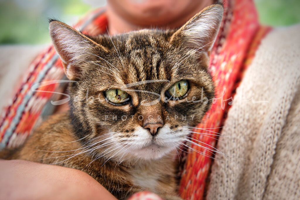 Kleopathra_23-09-172023_09_17_DSCF1383 | People- und Tierfotografie, Imageaufnahmen, Veranstaltungsfotografie und Wandbilder aus der Natur ★ Made in Germany ✔️ Druck + Downloads ✔️ Naturfotografie in Top Qualität ★ schneller Versand, weltweite Lieferung! - Realisiert mit Pictrs.com