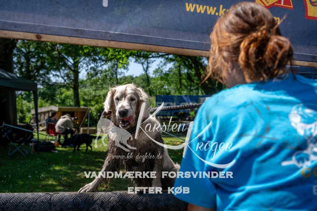 1243_ZZ91850 | kk-dogfotos