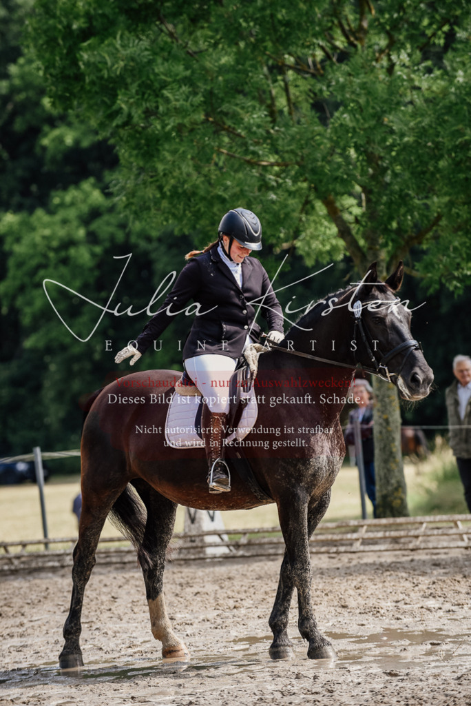 DSC_0252 | Pferde- und Turnierfotografie in Westsachsen. Pferdeportraits, Auftragszeichnungen und intuitive Kunst.