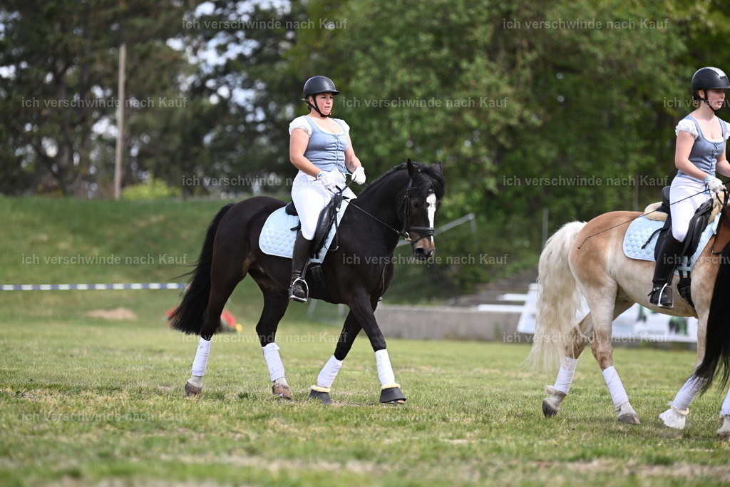 PI26_Show_Sara_Landvogt_226_9990.JPG | working equitationturnier fotograf videograf stoibphotography marixx film working equitation deutschland reitsport turnierfotografie eventfotografie equestrian events