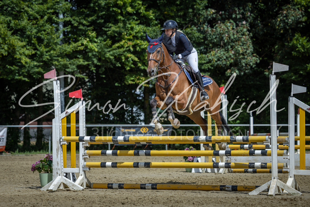 20260704-_3LI0636 | Tierfotografie Pferde, Hunde, Katzen, Haustiere.
Turnierfotografie Reitturniere, Reiten, Springreiten, Dressur in Hanau, dem Main-Kinzig-Kreis und dem Rhein-Main- Gebiet um Frankfurt