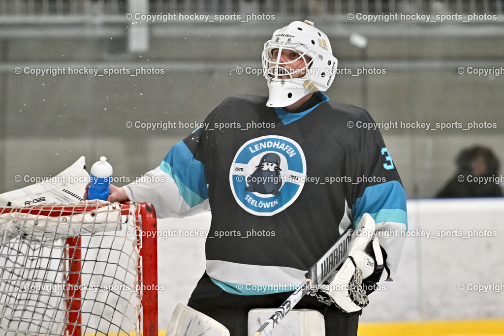 Lendhafen Seelöwen vs. Spartans Althofen | #37 Juch Lukas Lendhafen Seelöwen, Lendhafen Seelöwen vs. Spartans Althofen, Lendhafen Seelöwen vs. Spartans Althofen am 14.02.2025 in Ferlach (HTC Eishalle Ferlach), Austria, (Photo by Bernd Stefan)