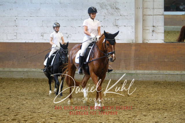 DKP44081 | Turniersportfotografie; Pferdefotografie; Dressurfotografie