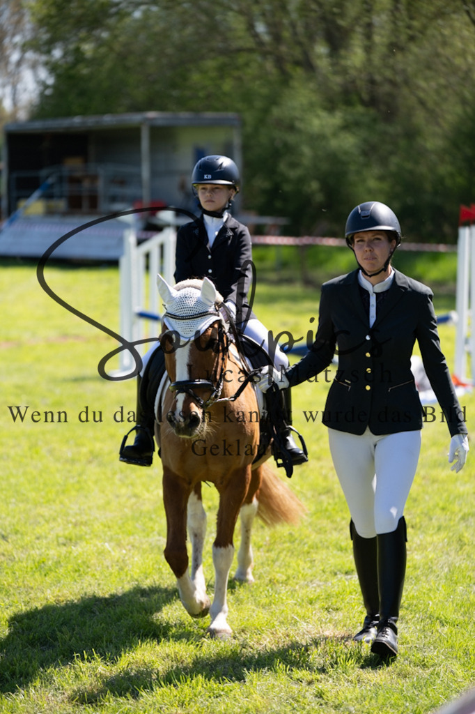 A7V01253 | Pferdefotograf