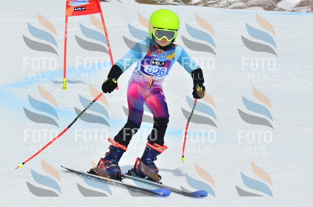 _ELE2843 | holidayphoto