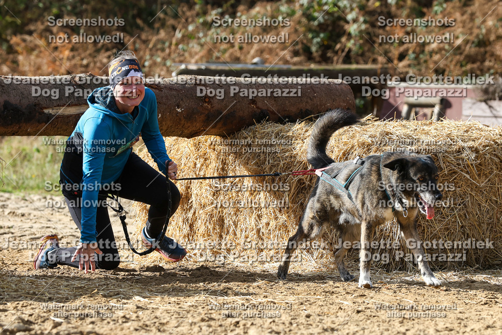 Dog Paparazzi - Strongdog 10-25-5565 | Dog Paparazzi Jeanette Grottendiek Fotografie & Videografie - Realisiert mit Pictrs.com