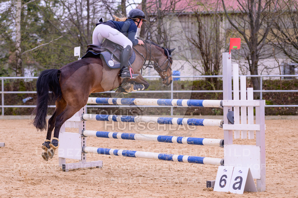 12042026-Mammendorf-Prfg43-0009 | Fokus Hufschlag Fotografie - Realisiert mit Pictrs.com