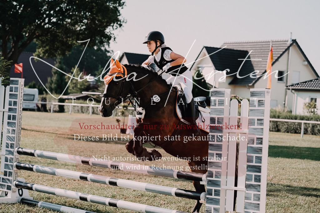 DSC_4471 | Pferde- und Turnierfotografie in Westsachsen. Pferdeportraits, Auftragszeichnungen und intuitive Kunst.