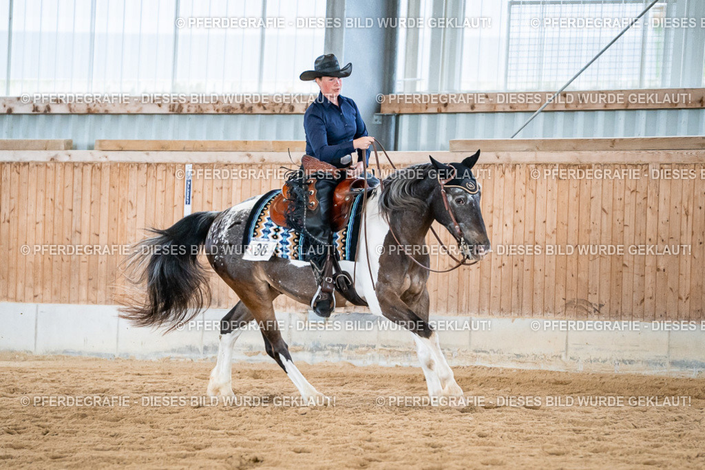 DSC02806 | Pferdegrafie