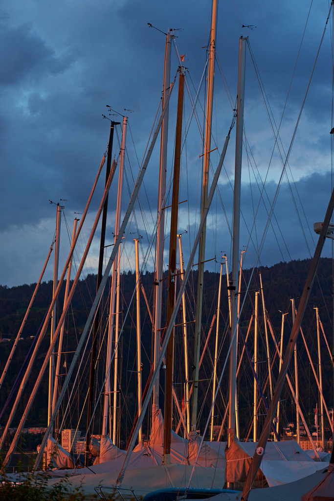 Leuchtende Segelbootmasten im Hafen | Bregenz, Austria - June 07, 2024: Leuchtende Segelbootmasten im Hafen. - Realisiert mit Pictrs.com