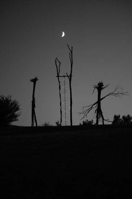 006-Ozora-_XP35971 | blende43