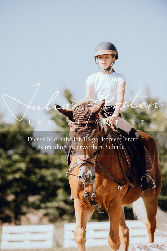 DSC_7260 | Pferde- und Turnierfotografie in Westsachsen. Pferdeportraits, Auftragszeichnungen und intuitive Kunst.