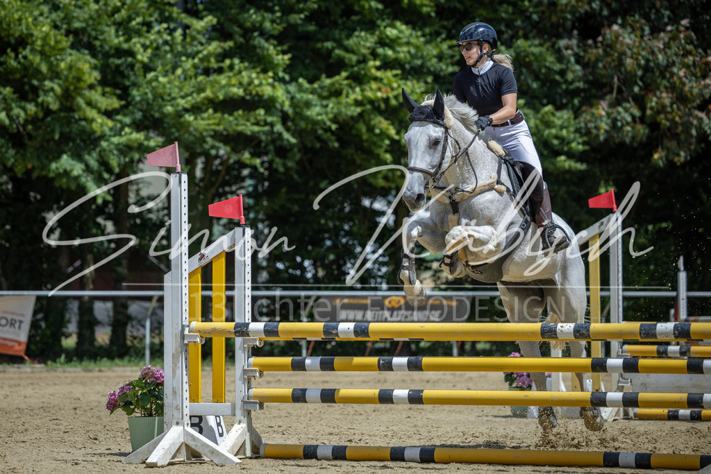 20260704-_3LI9902 | Tierfotografie Pferde, Hunde, Katzen, Haustiere.
Turnierfotografie Reitturniere, Reiten, Springreiten, Dressur in Hanau, dem Main-Kinzig-Kreis und dem Rhein-Main- Gebiet um Frankfurt