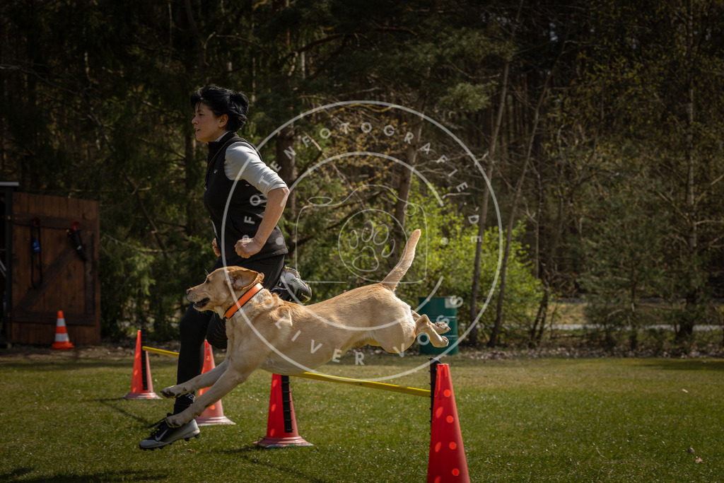 Pfotenfotografie_DV3A3545 | Hundefotografie, Tierfotograf, Pfotenfotografie, Fotoshooting Hund, Hunde Portrait, Hundesport, Hundeportraits, Heideshooting, Hunde, Sportfotograf, Hundefotograf, Turnierhundsport, THS,  - Realisiert mit Pictrs.com