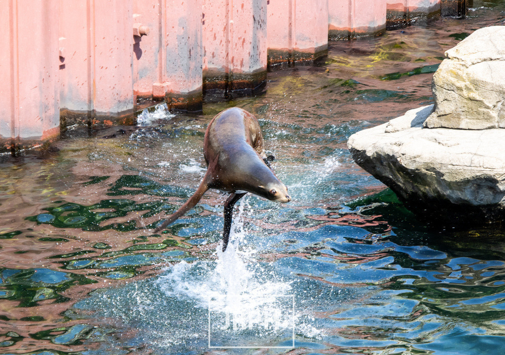 IMG_7727 | jrph - Realisiert mit Pictrs.com