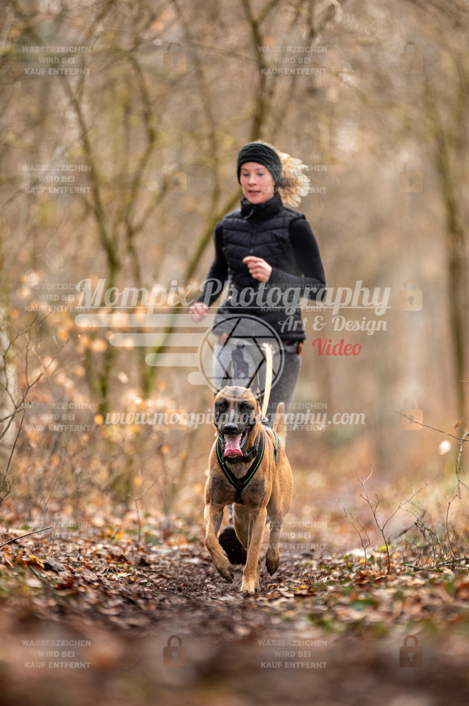 Reiat2023_SON_CaniXRun_8km_W-12 | PayLife