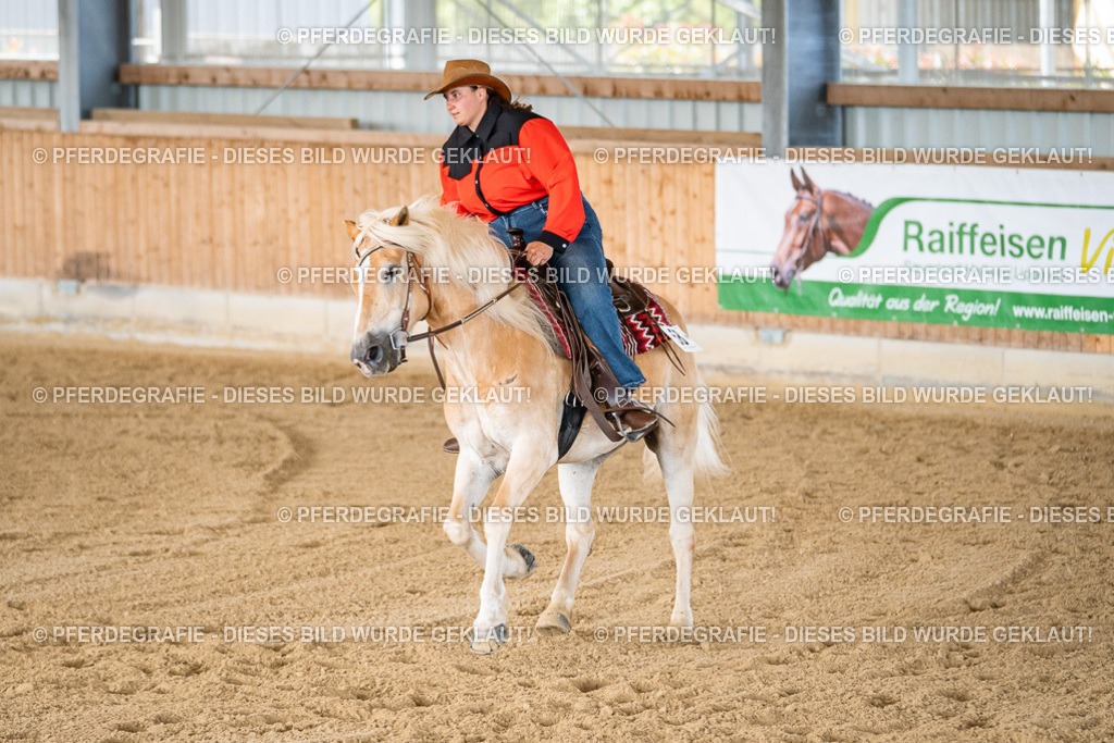 DSC02812 | Pferdegrafie