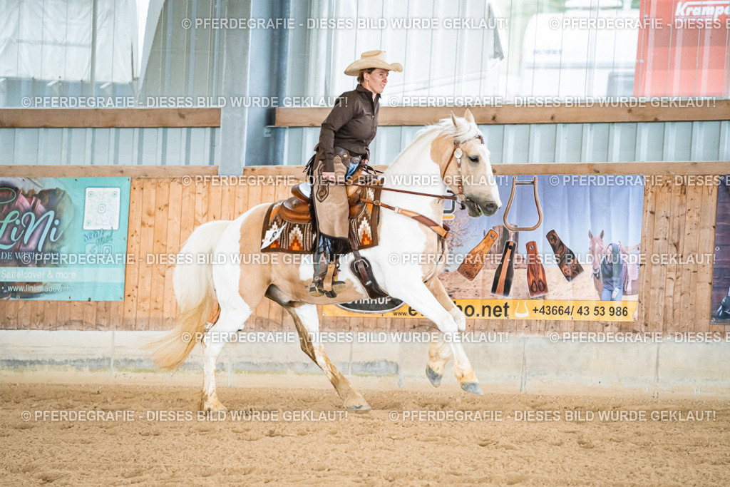 DSC09993 | Pferdegrafie