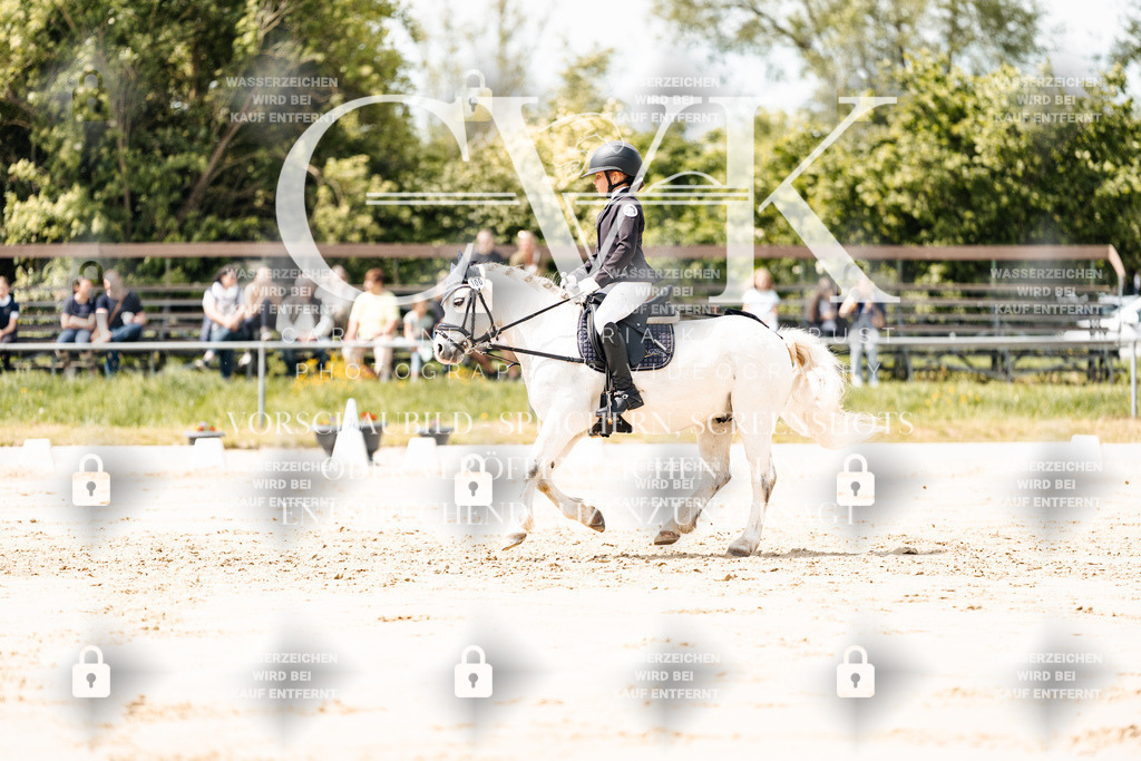 CK901871 | Turnierfotografie Pferdefotografie Trier Rheinland-Pfalz Pferdesport Reitsport Tierfotografie Sportfotografie Pferdevideo Pferdevideografie Equestrianvideography equestrianphotography  - Realisiert mit Pictrs.com