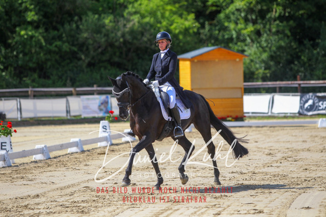 DKP46459 | Turniersportfotografie; Pferdefotografie; Dressurfotografie