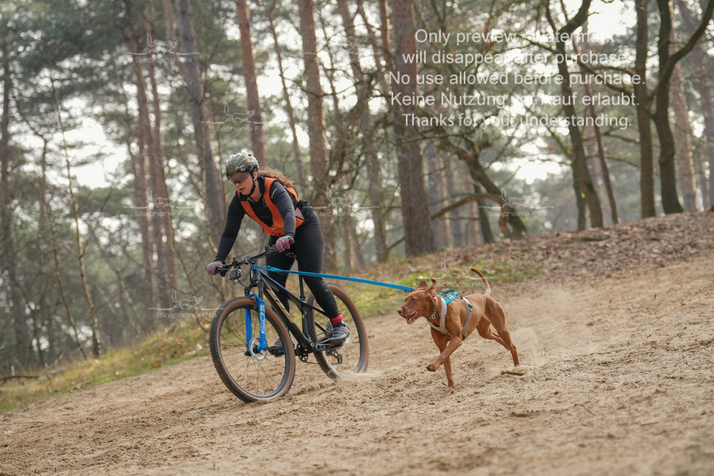 Bike1-387 | stephaniefillaphotographie - Realisiert mit Pictrs.com