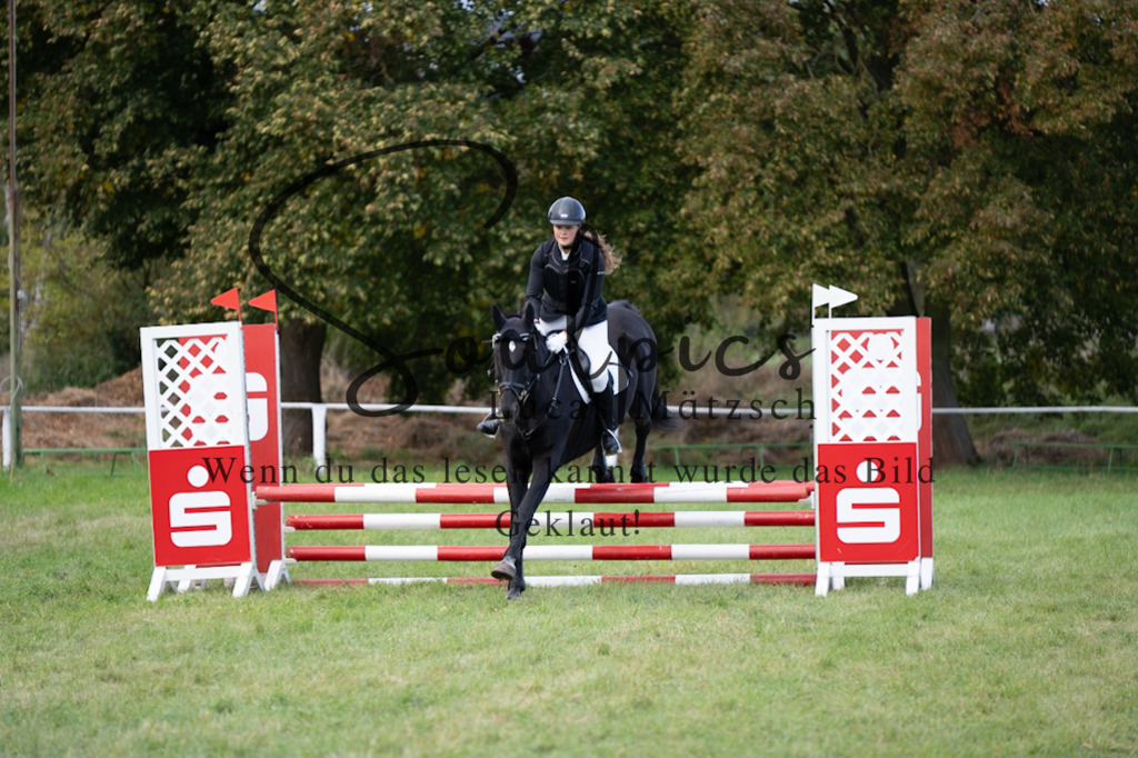 A7V06474 | Pferdefotograf