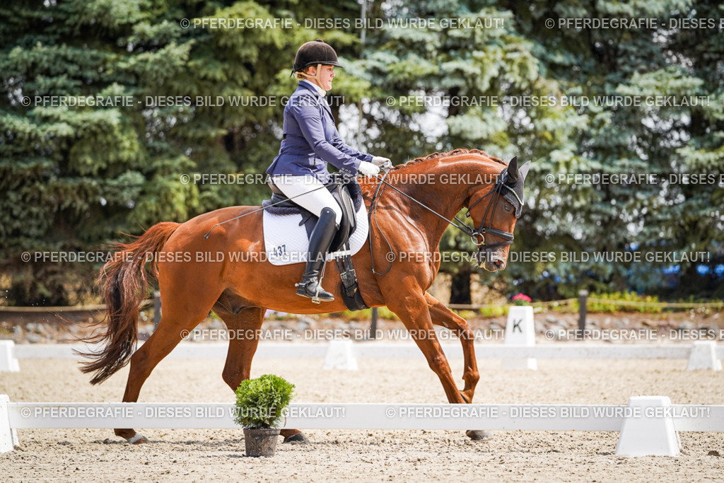 DSC00646 | Pferdegrafie