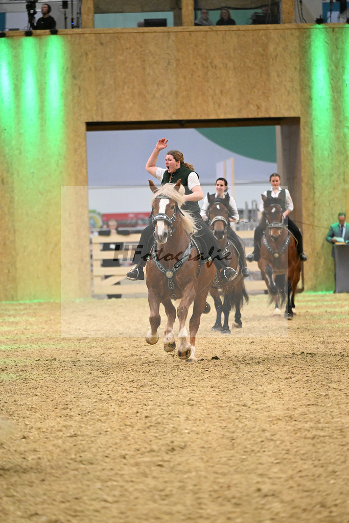 Schauprogramm_Dressurquadrille_1261115 | hf-fotografie - Realisiert mit Pictrs.com